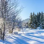 Gruenau - Wimmergreuth