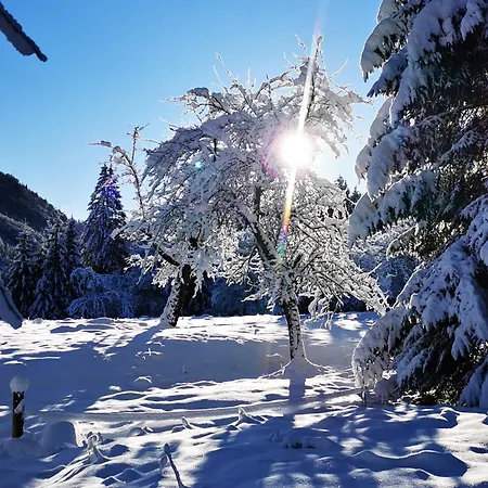 Gruenau - Wimmergreuth Hotel Grünau im Almtal