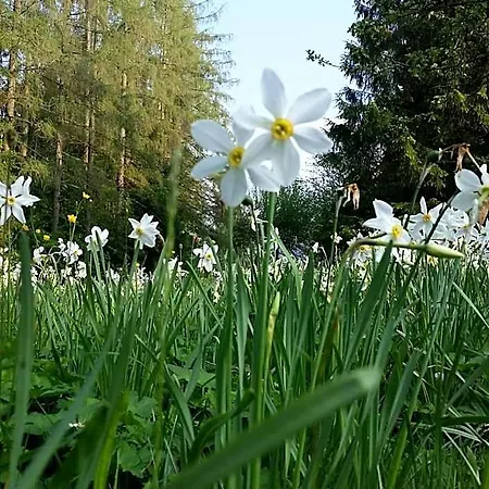 Grünau - Wimmergreuth Grünau im Almtal