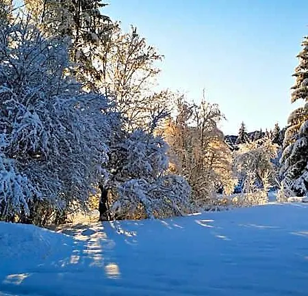 Hotel Grünau - Wimmergreuth