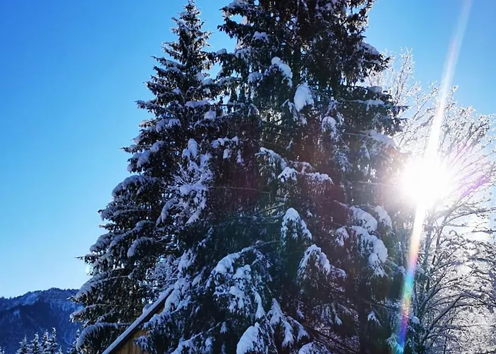 فندق Gruenau - Wimmergreuth