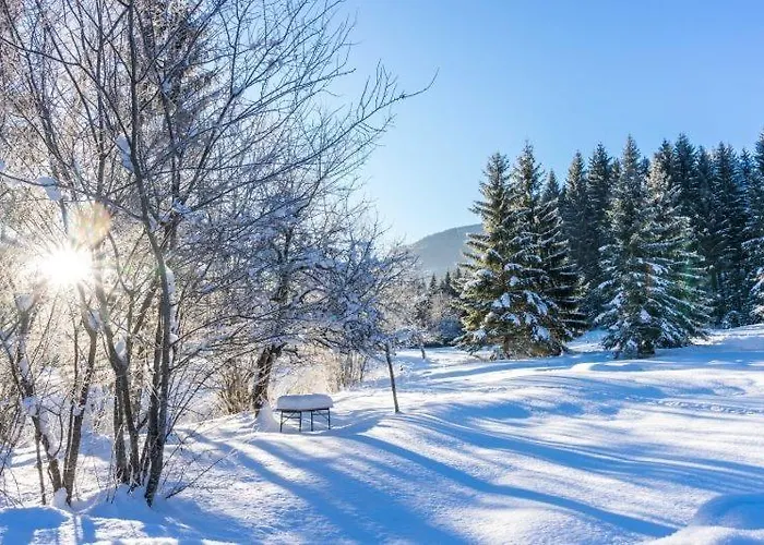 Gruenau - Wimmergreuth