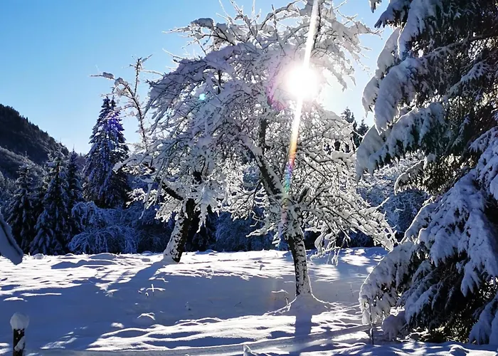 Gruenau - Wimmergreuth Hotel Grünau im Almtal