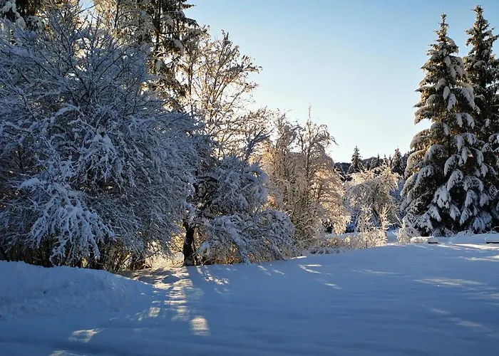 Gruenau - Wimmergreuth Hotel *